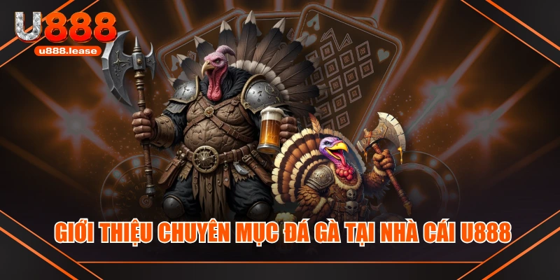 Giới thiệu chuyên mục đá gà tại nhà cái U888 Giới thiệu chuyên mục đá gà tại nhà cái U888