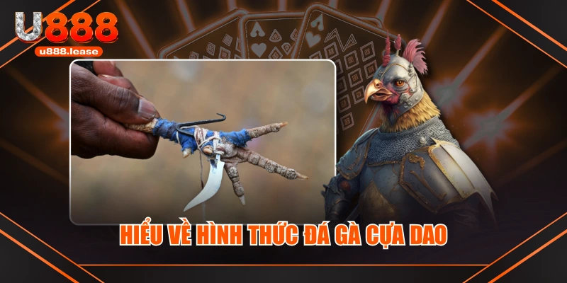 Hiểu về hình thức đá gà cựa dao Hiểu về hình thức đá gà cựa dao