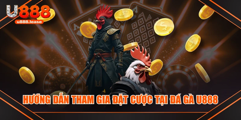 Hướng dẫn tham gia đặt cược tại đá gà U888 Hướng dẫn tham gia đặt cược tại đá gà U888