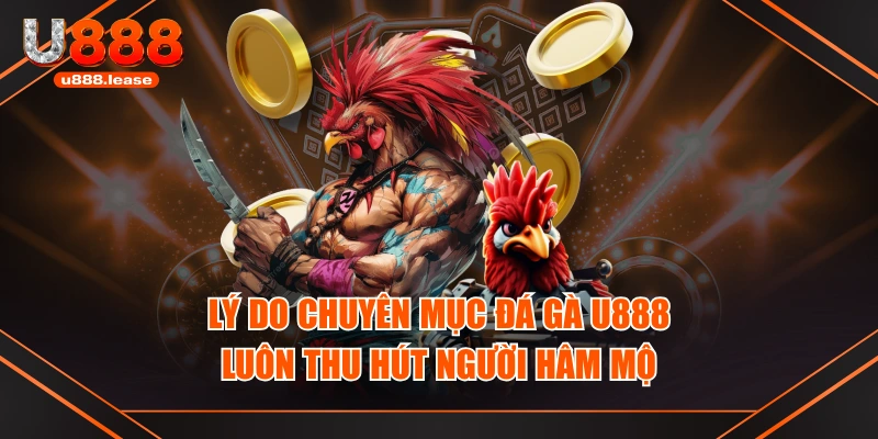 Lý do chuyên mục đá gà U888 luôn thu hút người hâm mộ Lý do chuyên mục đá gà U888 luôn thu hút người hâm mộ