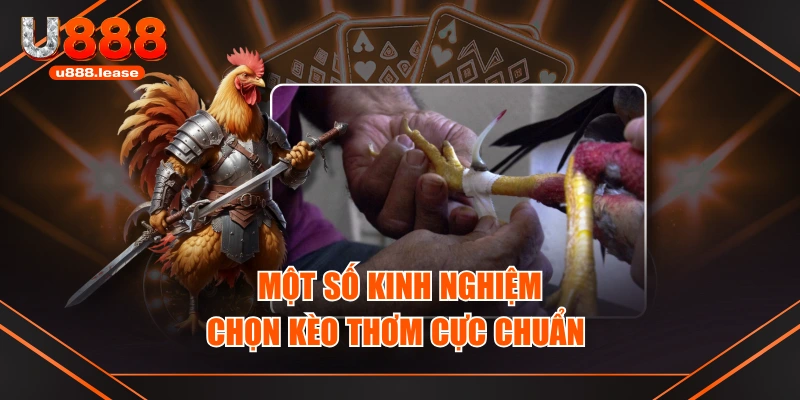 Một số kinh nghiệm chọn kèo thơm cực chuẩn Một số kinh nghiệm chọn kèo thơm cực chuẩn