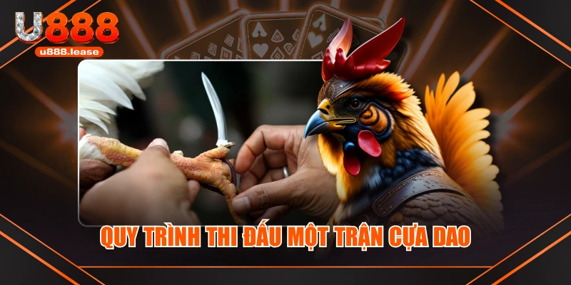 Quy trình thi đấu một trận cựa dao Quy trình thi đấu một trận cựa dao