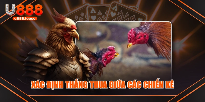 Xác định thắng thua giữa các chiến kê Xác định thắng thua giữa các chiến kê